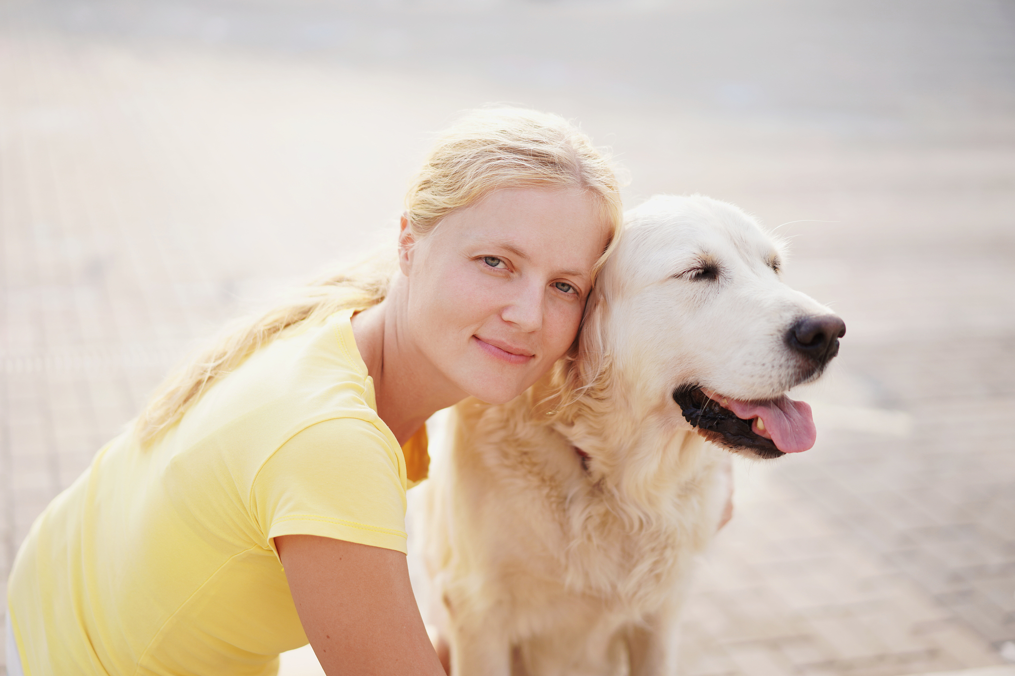 金毛拉布拉多犬哪个好